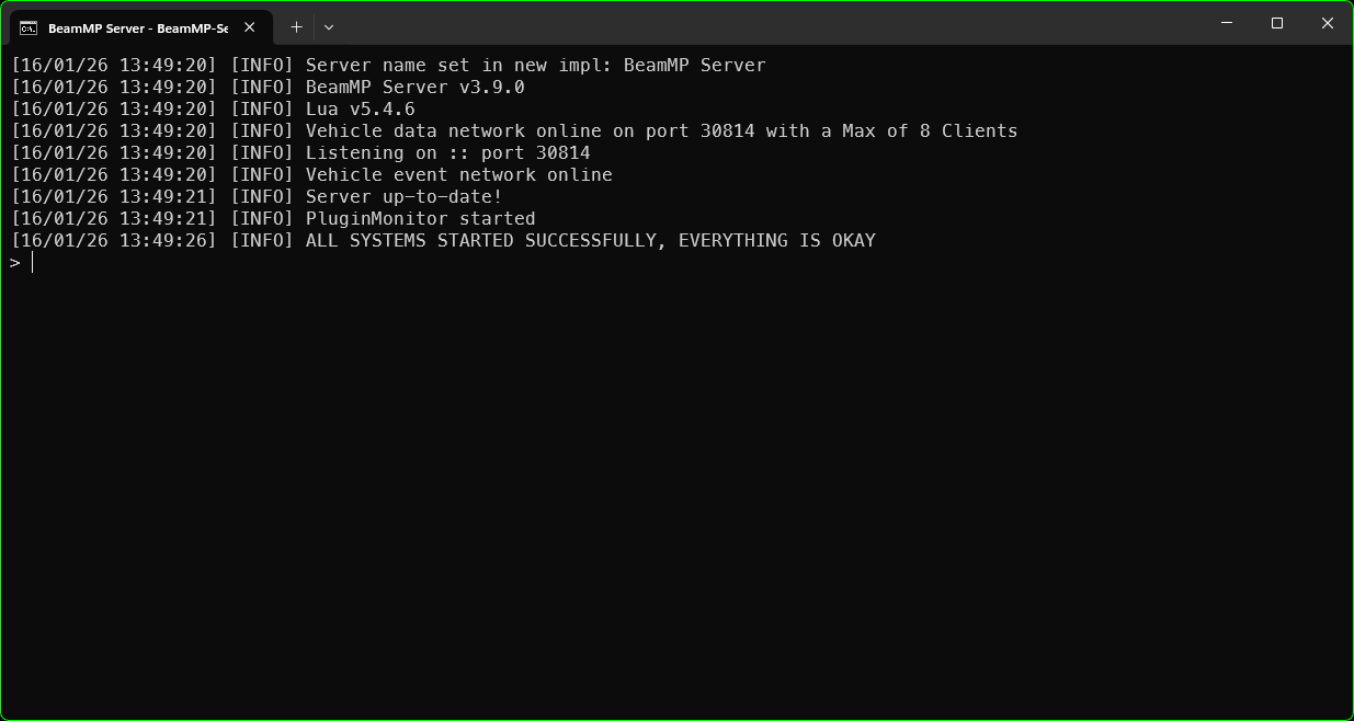 Server Console Success
